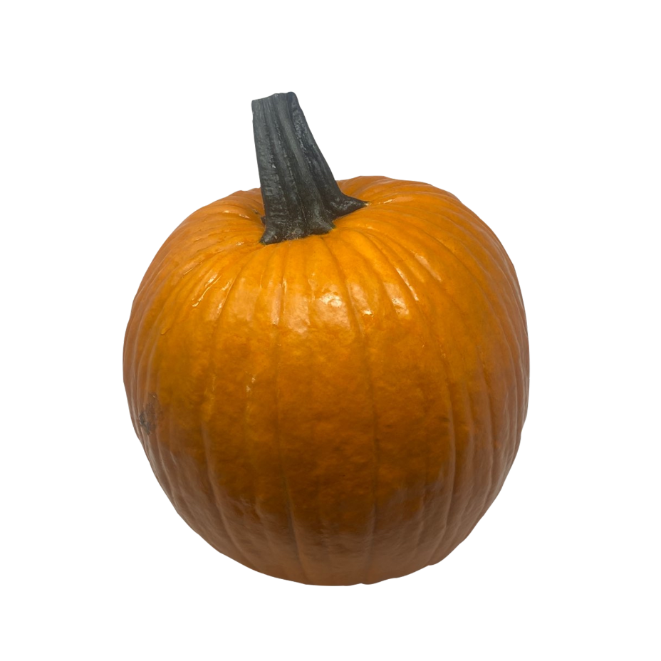Moyenne Citrouille Orange