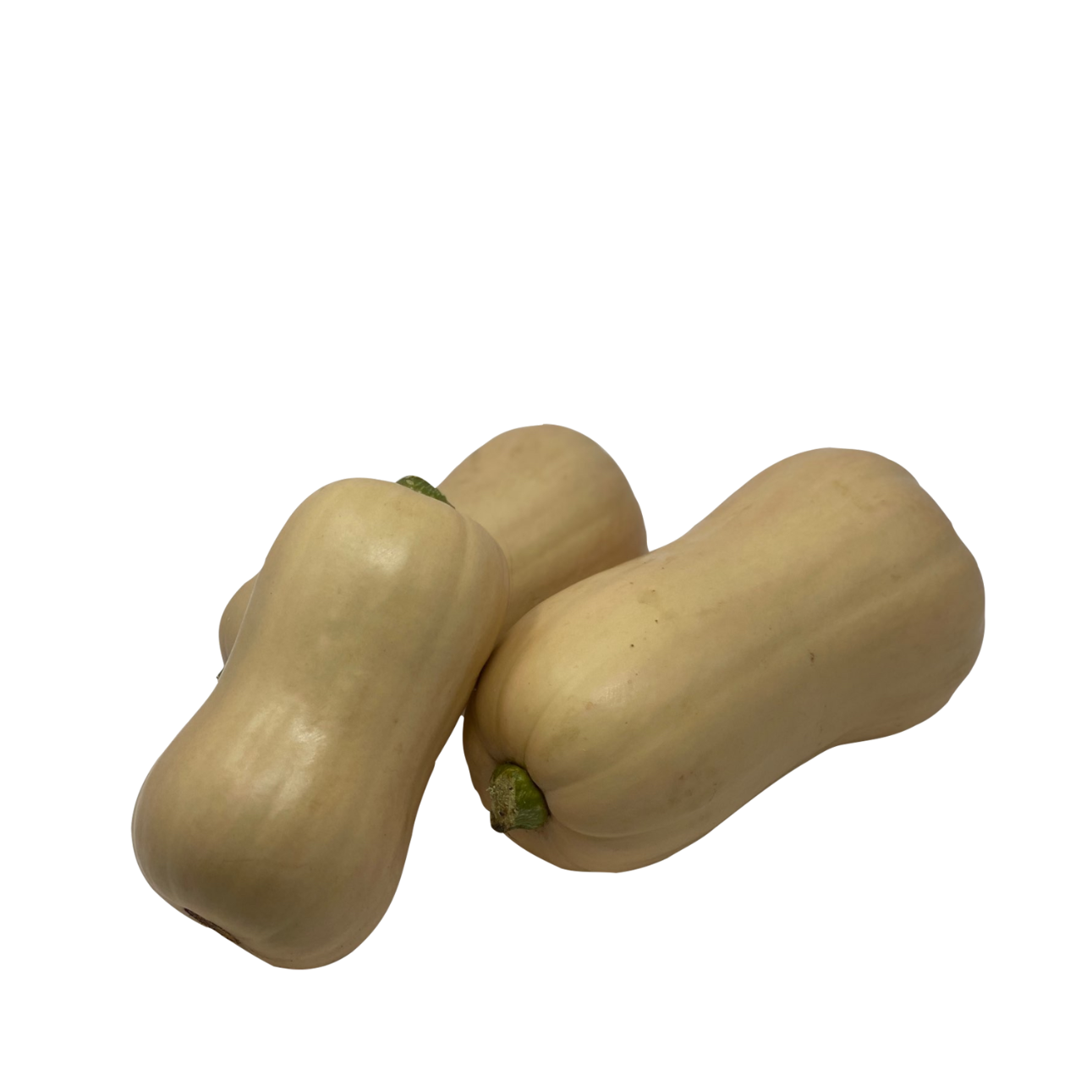 Courge - Butternut