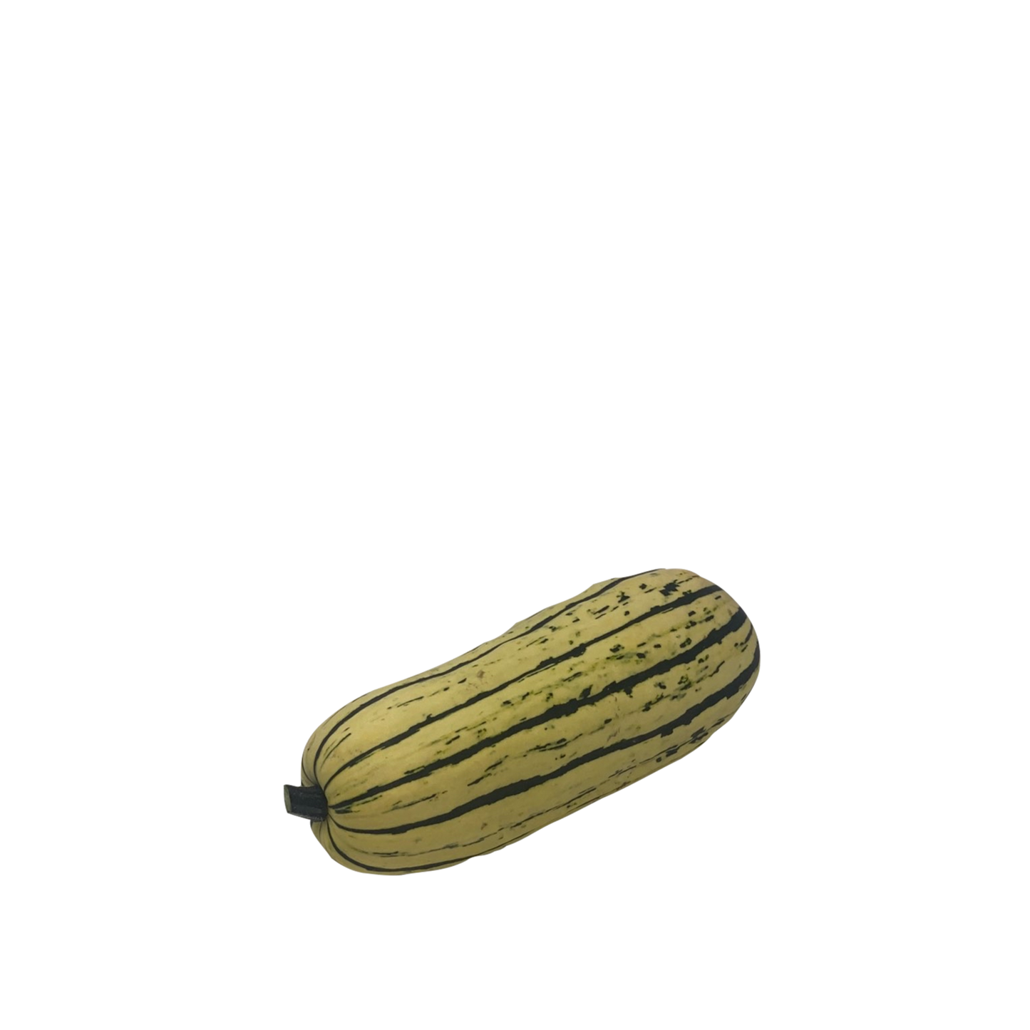 Courge - Delicata