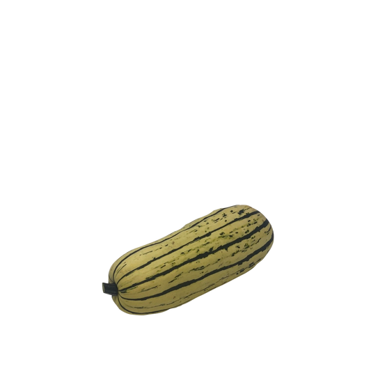 Courge - Delicata
