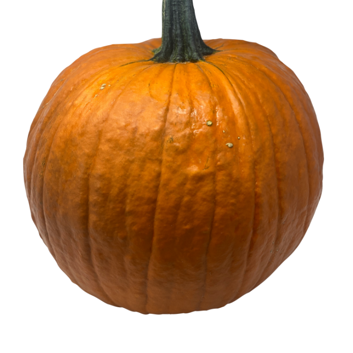 Grande Citrouille Orange
