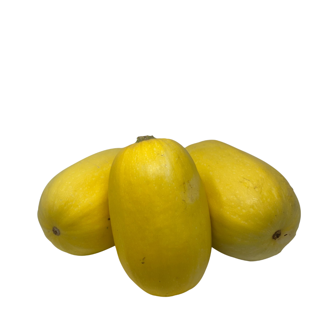Courge - Spaghetti